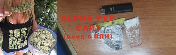 гашик Белокуриха