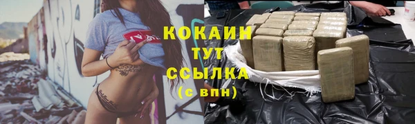 гашик Белокуриха