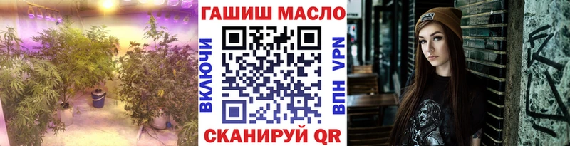 ТГК гашишное масло  Купить где  Наволоки 