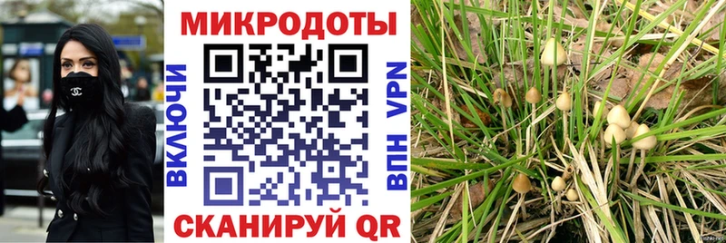 Псилоцибиновые грибы Magic Shrooms  Купить где  Наволоки 
